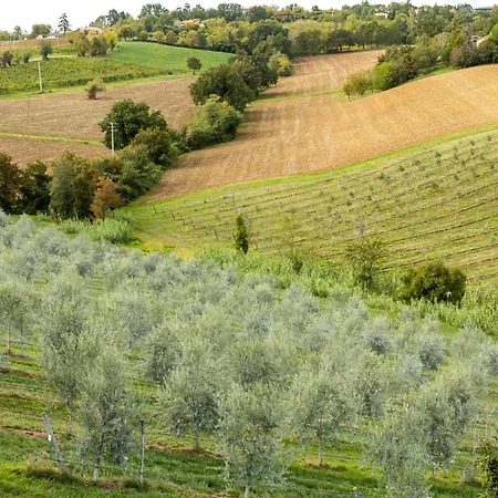 בית חווה Oliveto Sul *